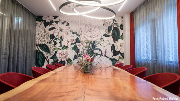 picture of Conversion and Single-Family Homes 